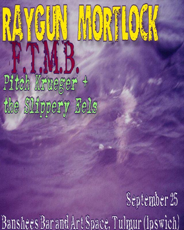 Banshees Bar presents Raygun Mortlock, F.T.M.B., Pitch Krueger & the Slippery Eels