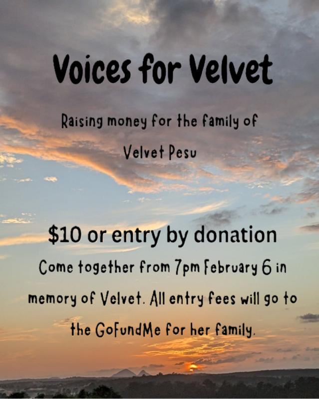 Banshees Bar presents Voices for Velvet
